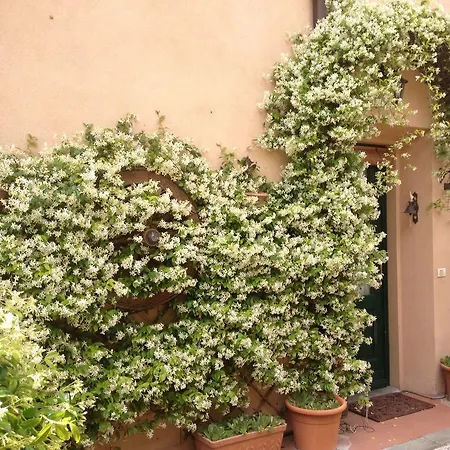 La Vallata * San Casciano in Val di Pesa